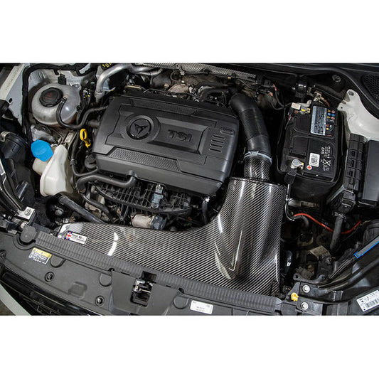 Forge Carbon intake